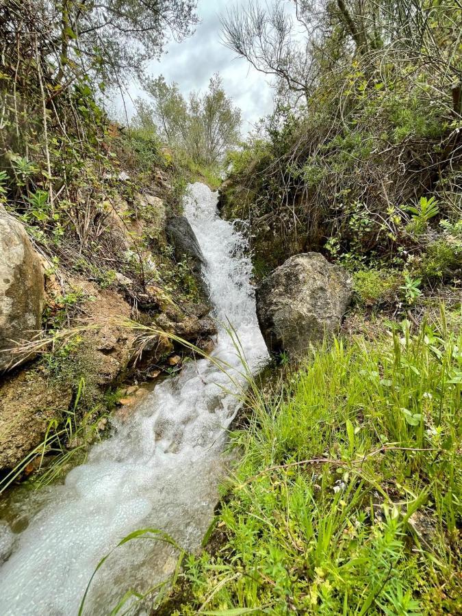 Cortijo Samadhi ξενώνας Lanjarón Εξωτερικό φωτογραφία