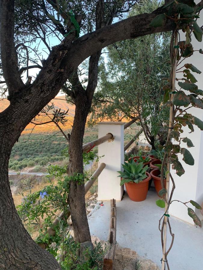 Cortijo Samadhi ξενώνας Lanjarón Εξωτερικό φωτογραφία