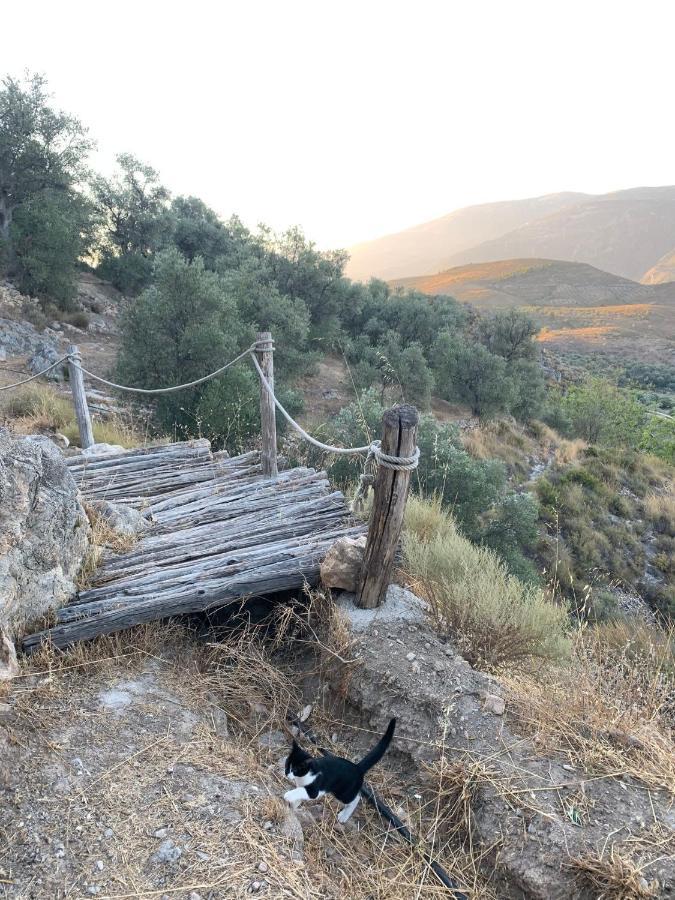 Cortijo Samadhi ξενώνας Lanjarón Εξωτερικό φωτογραφία